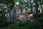 Zřícenina hradu Krimulda