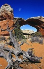 NP Arches-Broken Arch