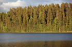 Jezero Saimaa je 4.největší v Evropě,oblast Karjala
