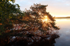 Nuasjärvi za svítání,rozloha 96 km čtverečních,pobřeží 171 km