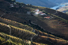 Rozloučení s překrásnou vinařskou oblastí nad řekou Douro