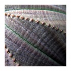 Euphorbia - detail pokožky těla