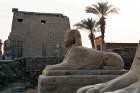 Luxor-sfingy