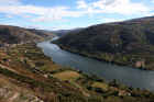 Rio Douro pramení ve Španělsku a ústí do moře v Portu po 925km toku